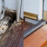 Lee Painting & Decorating - New timber and resin repairs to rotten parts