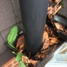 Pristine Gutters - Another blockage