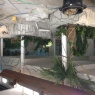 AWP Plastering Services - Center parcs project skimming ceilings in new pools