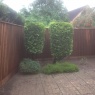 Borland Landscaping - image