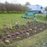 Borland Landscaping - commercial roundabouts