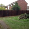 Borland Landscaping - image