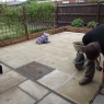 Borland Landscaping - patio with flagstone footpath 