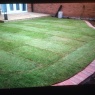 Borland Landscaping - image
