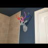 Sprayed Finishes by Joseph Brierley