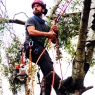 Nene Valley Tree Services Ltd