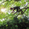 Nene Valley Tree Services Ltd - Andy in the thick of it!
