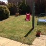 MRB Gardening - IMG 0241.JPG