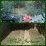 MRB Gardening - IMG 0249.JPG