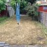 MRB Gardening - IMG 0439.JPG