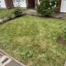 MRB Gardening