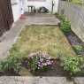 MRB Gardening