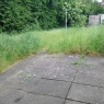 MRB Gardening