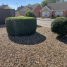 MRB Gardening