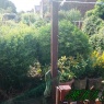 MRB Gardening