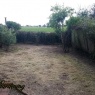 MRB Gardening