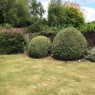 MRB Gardening