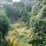 MRB Gardening