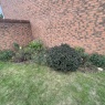 MRB Gardening