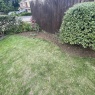 MRB Gardening
