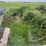 MRB Gardening