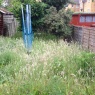 MRB Gardening - IMG 0437.JPG
