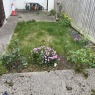 MRB Gardening