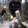 Woodcraft Tree Services