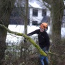 Woodcraft Tree Services