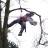 Woodcraft Tree Services