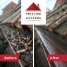 Pristine Gutters - Gutter Clean