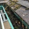 Pristine Gutters - Commercial Clearance