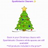 Sparkletastic Cleaners - Christmas Cleans