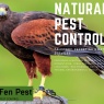 Fen Pest - Natural Pest Control & Pest Deterrents