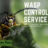 Fen Pest - Wasp Treatment & Traps