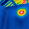 Fen Pest - Thermal image of wasp nest for pin point treatment.