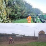 Doctor Tree Ltd - Before & After: Conifer hedge removal