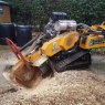 Doctor Tree Ltd - Professional stump grinding