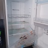 DustBunnies - DustBunnies: Fridge before