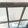 DustBunnies