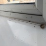 DustBunnies - Before