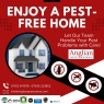 Anglian Pest Control - Enjoy a pest-free home