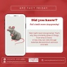 Anglian Pest Control - Info on rats