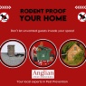 Anglian Pest Control - Rodent proof your home