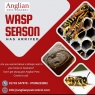 Anglian Pest Control - Wasp season