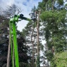 Willow Tree Services
