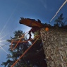 Willow Tree Services