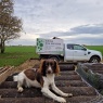 Willow Tree Services