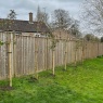 Willow Tree Services - Willow Tree Services - fencing specialists