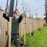 Willow Tree Services - Willow Tree Services - planting trees & securing